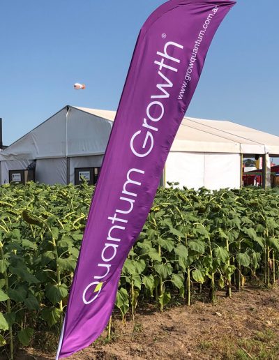 Grow Quantum - Fly Banner